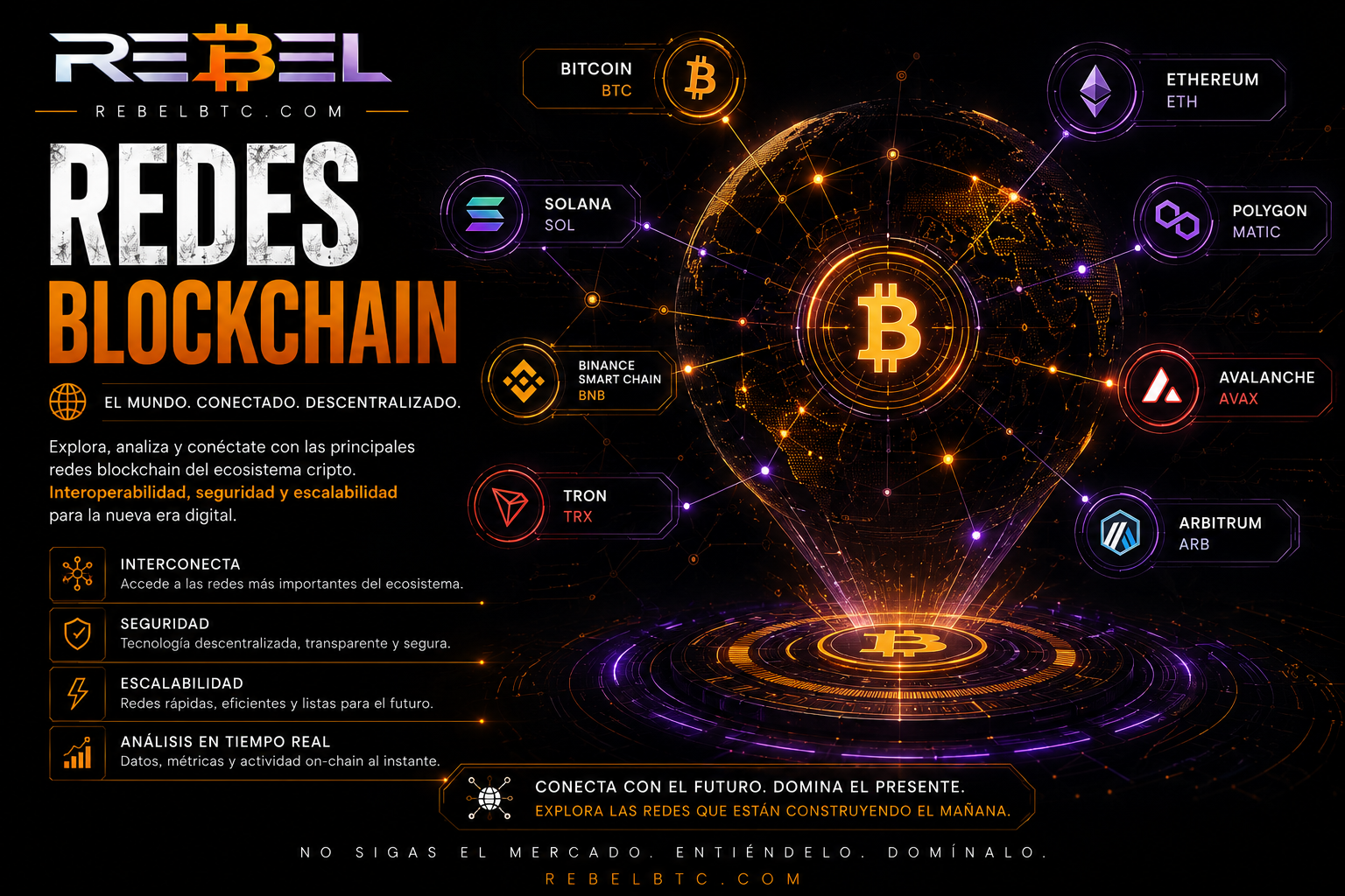 REBEL TopWallet — Redes Blockchain